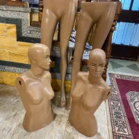 فروش دو عدد مانکن ویترین