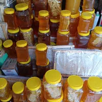 عسل|خوردنی و آشامیدنی|سبزوار, امیر کبیر|دیوار