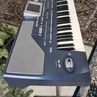 ارگ pa800|پیانو، کیبورد، آکاردئون|سده (خراسان جنوبی), |دیوار