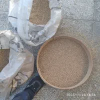 لوبیا چشم بلبلی لوبیا ریز پلویی|خوردنی و آشامیدنی|داراب, |دیوار