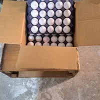 تخم مرغ|خوردنی و آشامیدنی|تهران, انبار نفت|دیوار