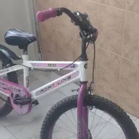 دوچرخه 20