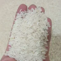 برنج فجر خوشپخت تنظیم بازار ارسال رایگان|خوردنی و آشامیدنی|تهران, شیوا|دیوار