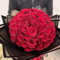 گل رز طبیعی|گل و گیاه طبیعی|مشهد, آزادشهر|دیوار