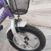 دوچرخه 12 ۳ عدد در رنگبندی|دوچرخه، اسکیت، اسکوتر|گلپایگان, |دیوار