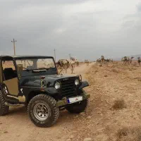 جیپ کاام مدل 1983|خودرو کلاسیک|کوار, |دیوار