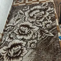 فرش سالم و تر تمیز