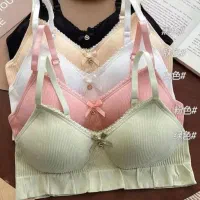 سوتین شورت|لباس|اسفراین, |دیوار