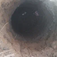 به یک نفر کارگر کار باچاه کن