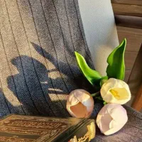 ۱۵۰تا پرس یونجه بدون علف