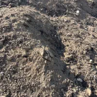 فروش کود مرغ بومی مخصوص کشت گلخانه و کشاورزی