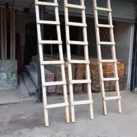 نردبان باچوب نراد روسی