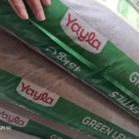 بازاریاب  حبوبات برنج با حقوق خوب