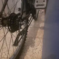 دوچرخه دنده ای کوهستان|دوچرخه، اسکیت، اسکوتر|مشهد, رده|دیوار