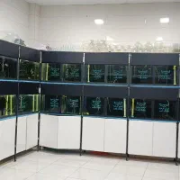 فروش لوازم مغاره اکواریوم