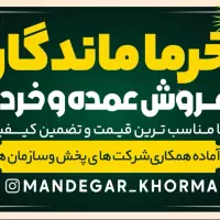 فروش عمده خرما مضافتی زاهدی پیارم