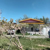 ۱۴۰۰ متر باغ مثمر ۱۲ ساله در آونلیق|فروش زمین و ملک کلنگی|کندوان, |دیوار