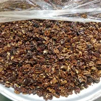 گردو فسنجونی