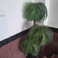 فروش درختچه نخل مصنوعی
