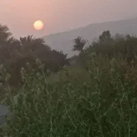 فروش فسیل مضافتی