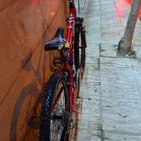 ۲ عدد دوچرخه|دوچرخه، اسکیت، اسکوتر|دورود, |دیوار