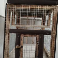 قفس سهره|لوازم جانبی حیوانات|ساوه, |دیوار