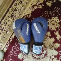 دستکش بوکس|تجهیزات ورزشی|شیراز, طلاب|دیوار