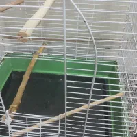 قفس|لوازم جانبی حیوانات|قم, حاج خلیل|دیوار