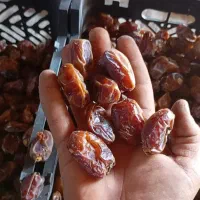 خرمای کبکاب لوکس