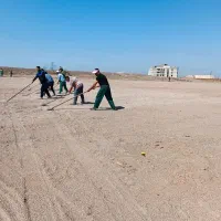 فروش چمن آفریقایی با اجرا، کود|خدمات باغبانی و درختکاری|اهواز, اهواز|دیوار