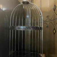 ظرف سرو مزه