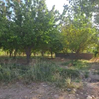 باغ حصار کشیده فروشی|فروش دفتر صنعتی، کشاورزی، تجاری|بروجن, |دیوار