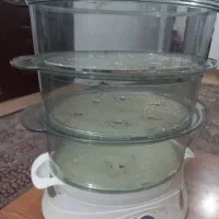 بخار پز