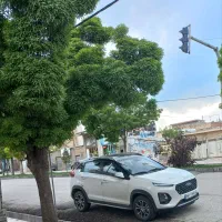 ام وی ام x22پرو اتومات مدل 402