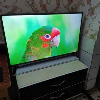 LED LG تلویزیون الجی 42 کنترل دیجیتال کاشمر|تلویزیون و پروژکتور|کاشمر, |دیوار