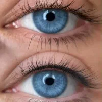 بن مژه دائم در شیراز زرهی|خدمات زیبایی و سلامت|شیراز, کلاهدوز|دیوار