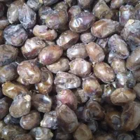 خرما گنطار درجه یک|خوردنی و آشامیدنی|اهواز, اسماعیلیه|دیوار