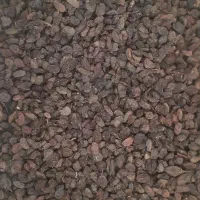 کشمش اورگانیک ملکان مخصوص|خوردنی و آشامیدنی|تبریز, |دیوار