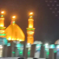 کاروان مشهد رضا  باقیمتی استسنائی
