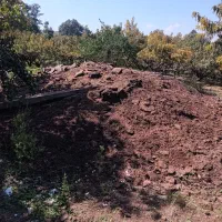 فروش کود حیوانی گوسفندی