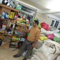 فروش انواع پرندگان