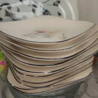 ظروف برای خانه باغ|ظروف سرو و پذیرایی|سنندج, |دیوار