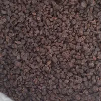 کشمش اورگانیک ملکان مخصوص|خوردنی و آشامیدنی|تبریز, |دیوار