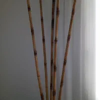 بامبو|گل مصنوعی|شهریار, شهرک وائین|دیوار