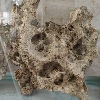 آکواریوم شرکتی شیشه خم ماهیران|لوازم جانبی حیوانات|همدان, |دیوار