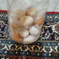 40عددتخم‌مرغ‌تازه‌‌هرخاست‌فردا‌بیارم‌شهر‌براش