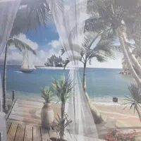 نصب و نصاب کاغذ دیواری