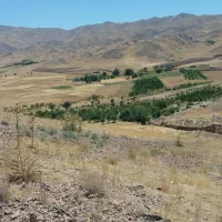 باغ|خدمات باغبانی و درختکاری|خرقان, |دیوار