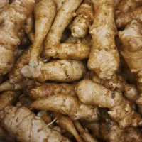 یار‌الماسی‌