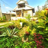 ویلاباغ 1000متری کوه پایه ای